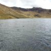 Laguna de Muertepungo - Imagen 4