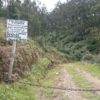 Ilaló desde la Morita - Imagen 14