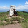 Ilaló desde la Morita - Imagen 2