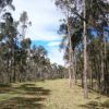 Ilaló desde la Morita - Imagen 7