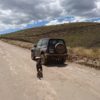Laguna de Mojanda desde Cochasquí - Imagen 2
