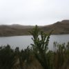 Laguna de la Mica - Imagen 4