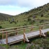 Parque Nacional Cotopaxi laguna de Limpiopungo - Imagen 12