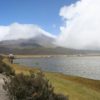 Parque Nacional Cotopaxi laguna de Limpiopungo - Imagen 4