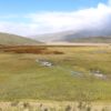 Parque Nacional Cotopaxi laguna de Limpiopungo - Imagen 6