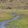 Parque Nacional Cotopaxi laguna de Limpiopungo - Imagen 7