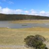 Parque Nacional Cotopaxi laguna de Limpiopungo - Imagen 8