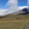 Parque Nacional Cotopaxi laguna de Limpiopungo - Imagen 9