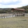 Parque Nacional Cotopaxi laguna de Limpiopungo - Imagen 10