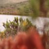 Parque Nacional Cotopaxi laguna de Cajas - Imagen 6