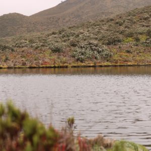 Parque Nacional Cotopaxi laguna de Cajas