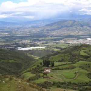 Coturco desde Sigsipamba