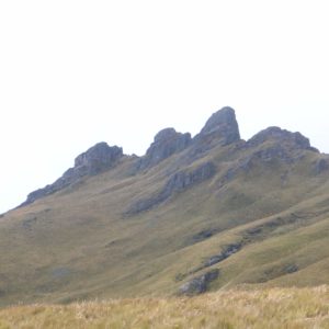 Cerro Puntas