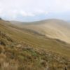 Cerro Puntas - Imagen 6