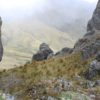 Cerro Puntas - Imagen 8
